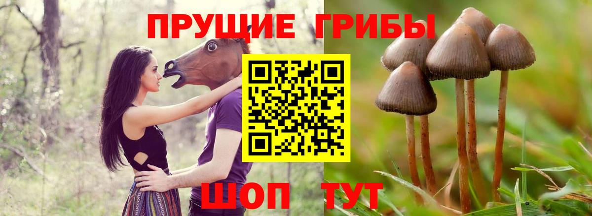 Псилоцибиновые грибы мицелий  Вход с VPN  Октябрьский 